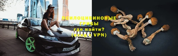 амф Аркадак