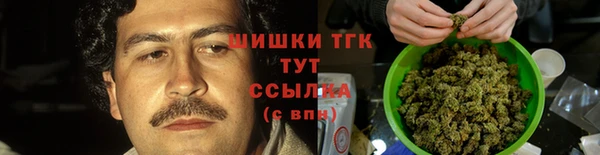 амф Аркадак