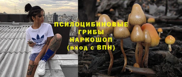mdpv Армянск
