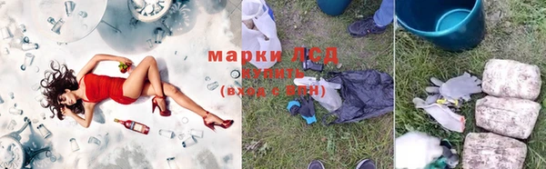 амф Аркадак