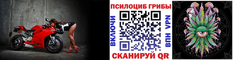 Псилоцибиновые грибы Psilocybe  OMG   Тарко-Сале 